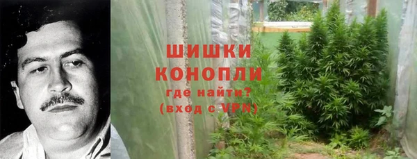 spice Верхний Тагил