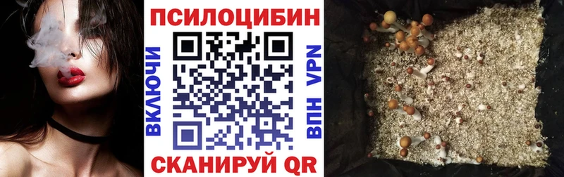 Псилоцибиновые грибы GOLDEN TEACHER  Елабуга 